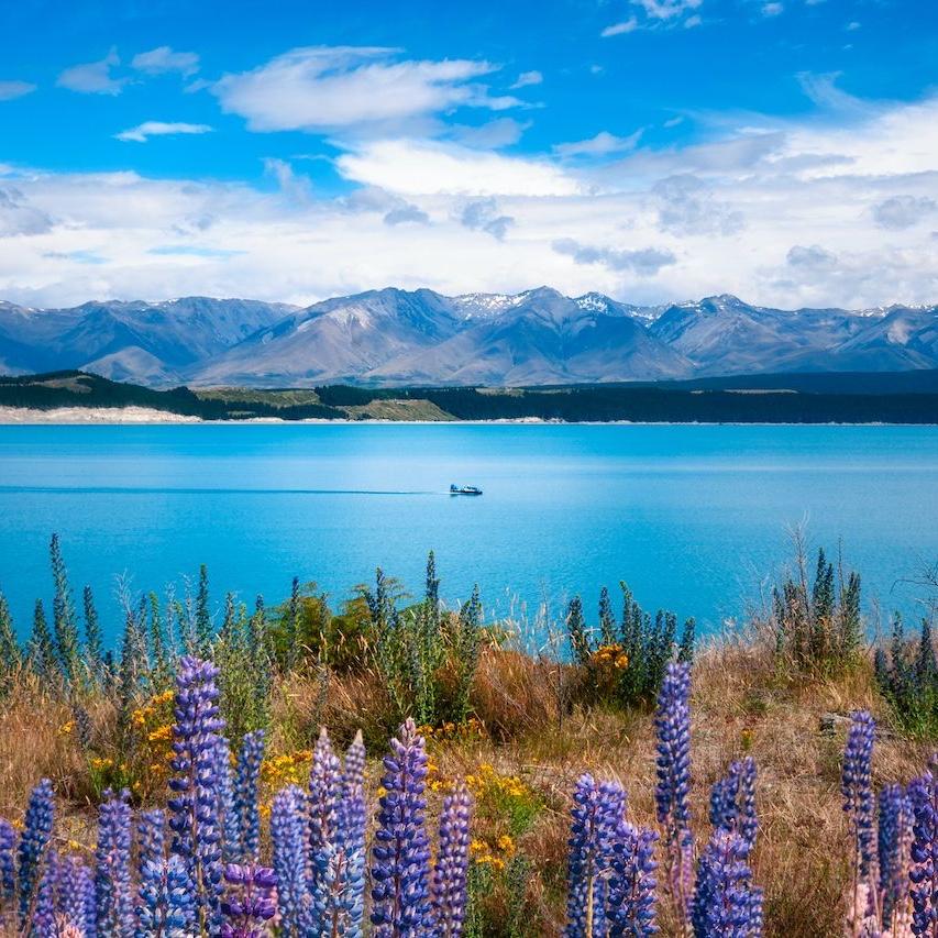 New Zealand Honeymoon Fund