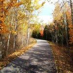 Betsie Valley Trail