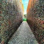 Bubblegum Alley