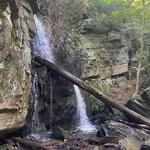 Hidden Cascade Hiking Tour in Great Smoky Mountains