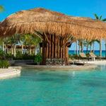 Mantarray - Swim-Up Bar