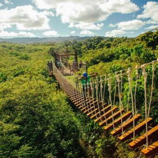 Ziplining Through the Rainforest