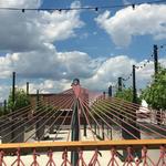 Visit the "World's First Rooftop Vineyard" in Brooklyn