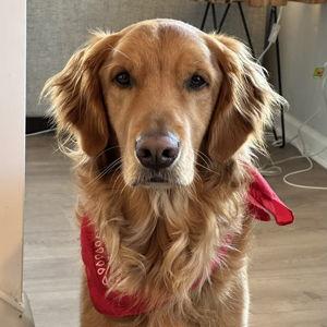 Teddy's Hydrolyzed Protein Treat Fund