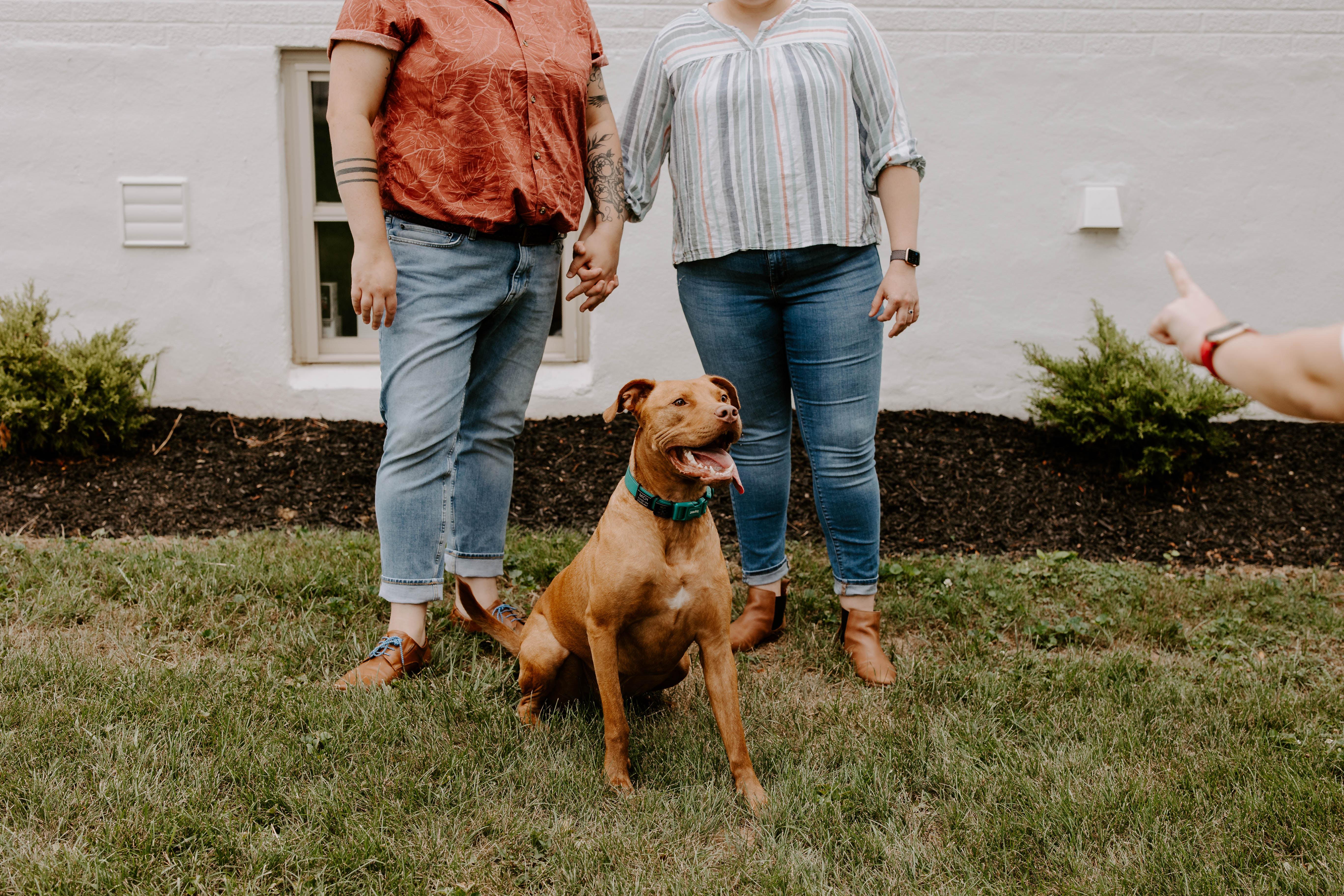 The Wedding Website of Lindsay Schneider and Taylor Maas
