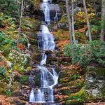 Stokes State Forest