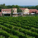 Grape Creek Vineyards