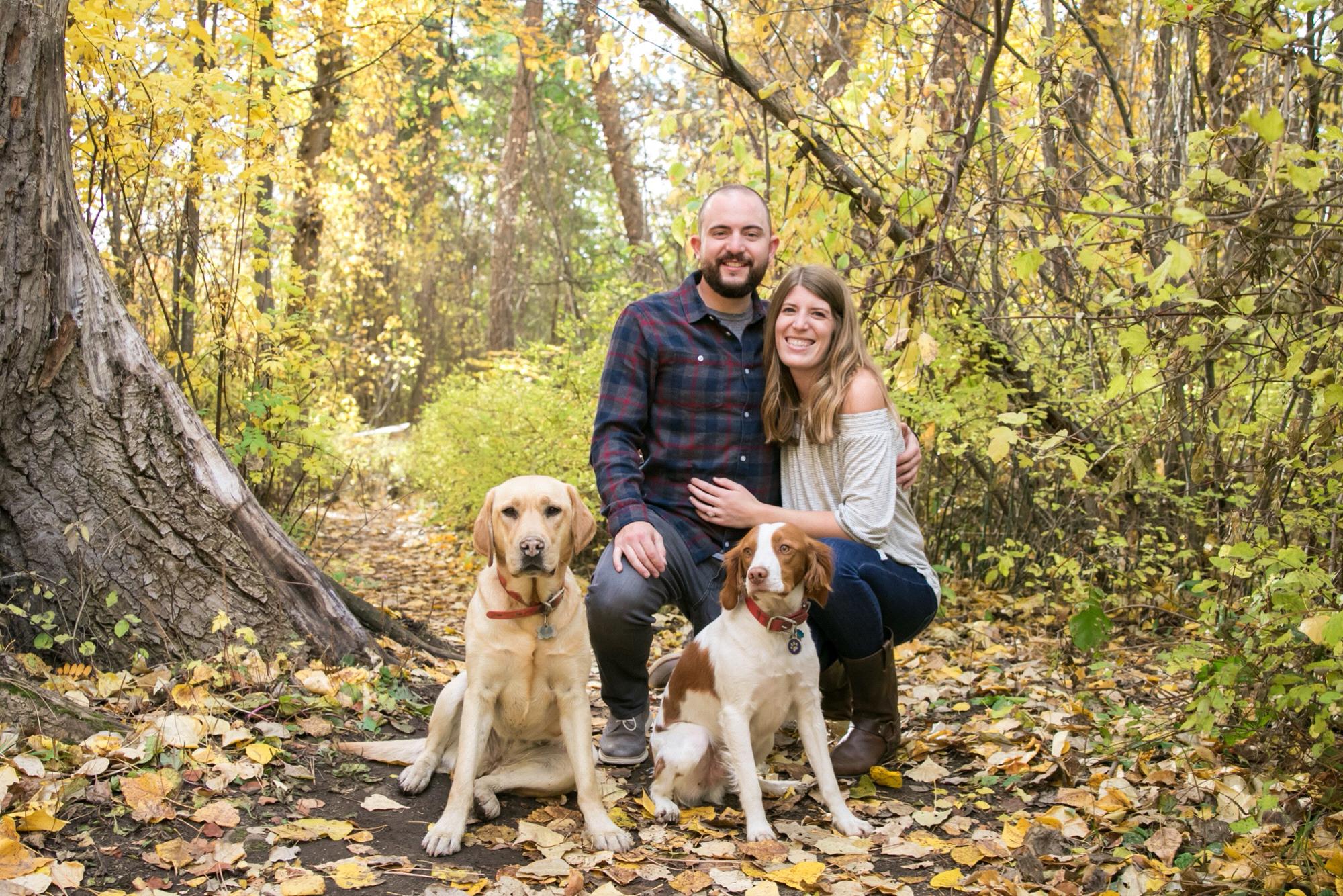 Our family! LJ the Yellow Lab and Cash the Brittany