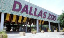 Dallas Zoo
