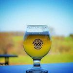 Falling Branch Brewery