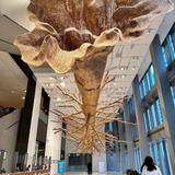 Seattle Art Museum
