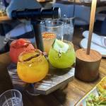 Sol Agave SLC