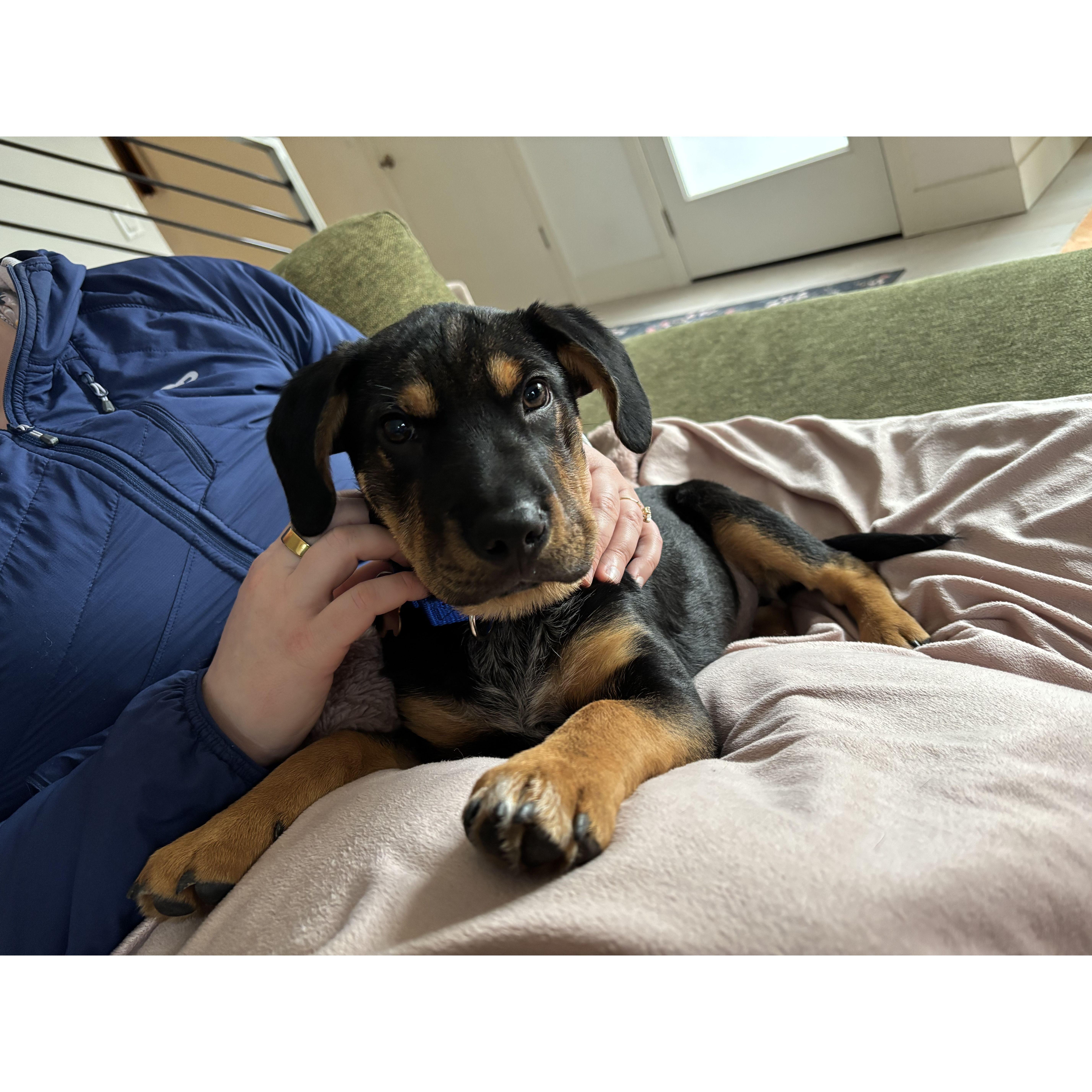 Finch "The new addition"