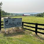 Appalachian Animal Experience