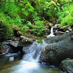 El Yunque National Forest