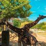 Roger Williams Park Zoo