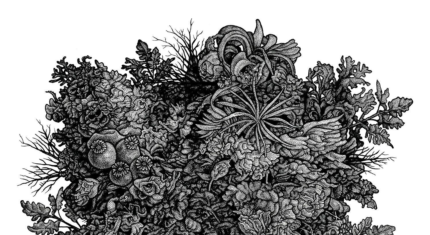 Footer image