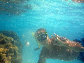 Under the sea!!!! Porto de galinhas!