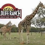 Natural Bridge Wildlife Ranch