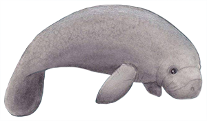 The Wedding Website of James Abraham and Elaine Castillo