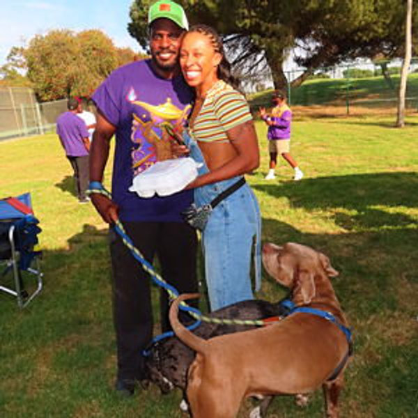 Pet Care and Hotels
