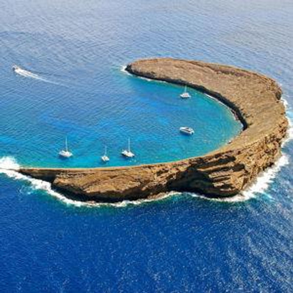 Snorkeling Adventures at Molokini Crater
