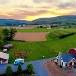 Catoctin Breeze Vineyard