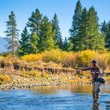 Fishing