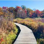 White Memorial Conservation Center