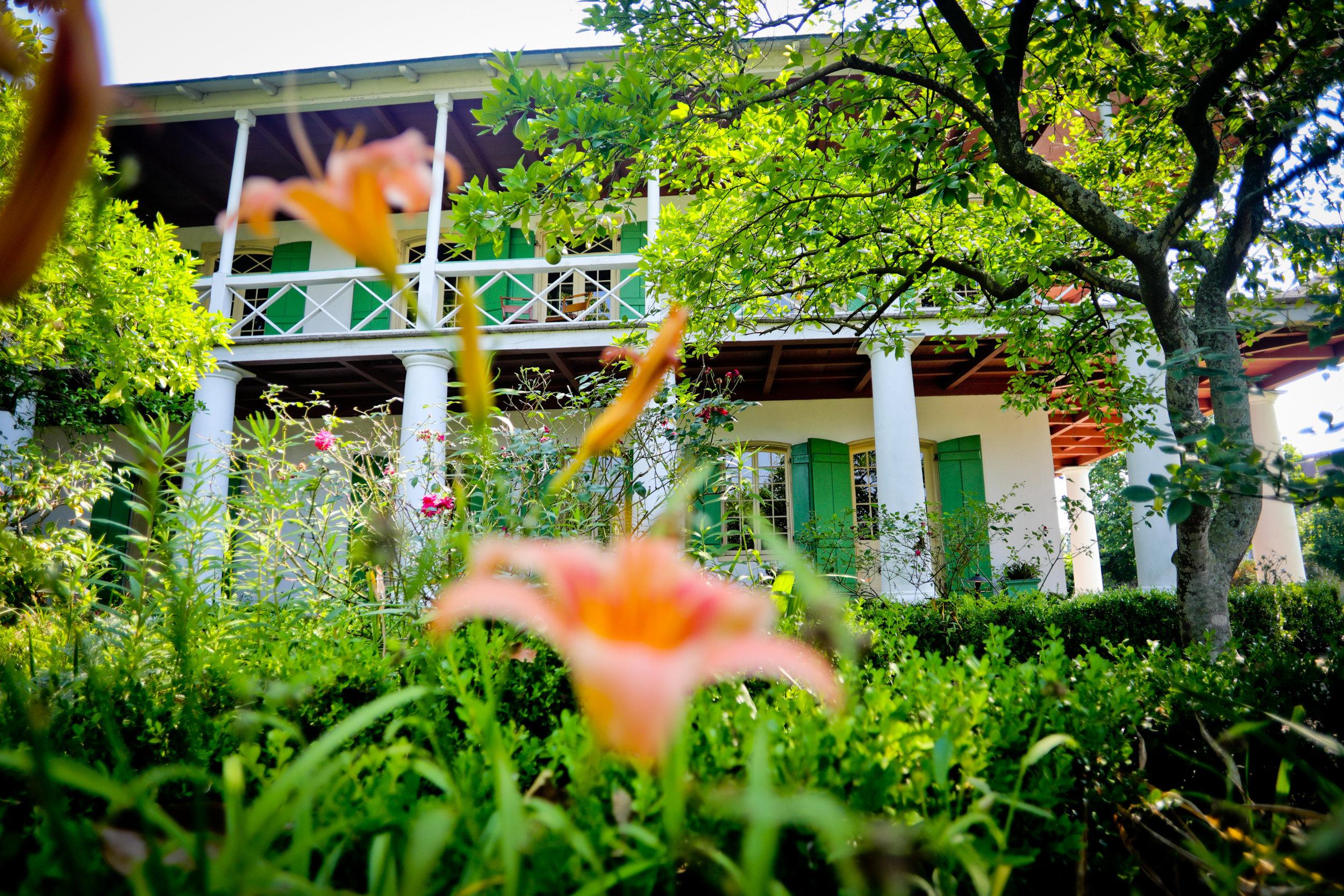 The Wedding Website of Michael Tucker and Mary Johnston