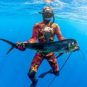 Spear Fishing in Ago Bay