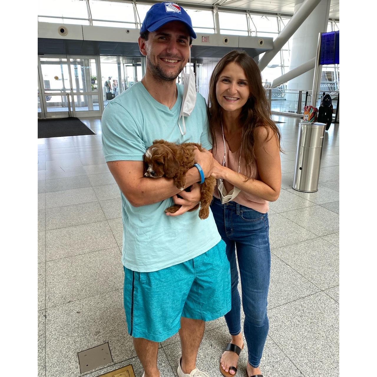 The day our family grew by four legs!