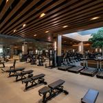 Hit the Gym