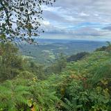 Blue Ridge Parkway
