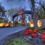 Gervasi Vineyard