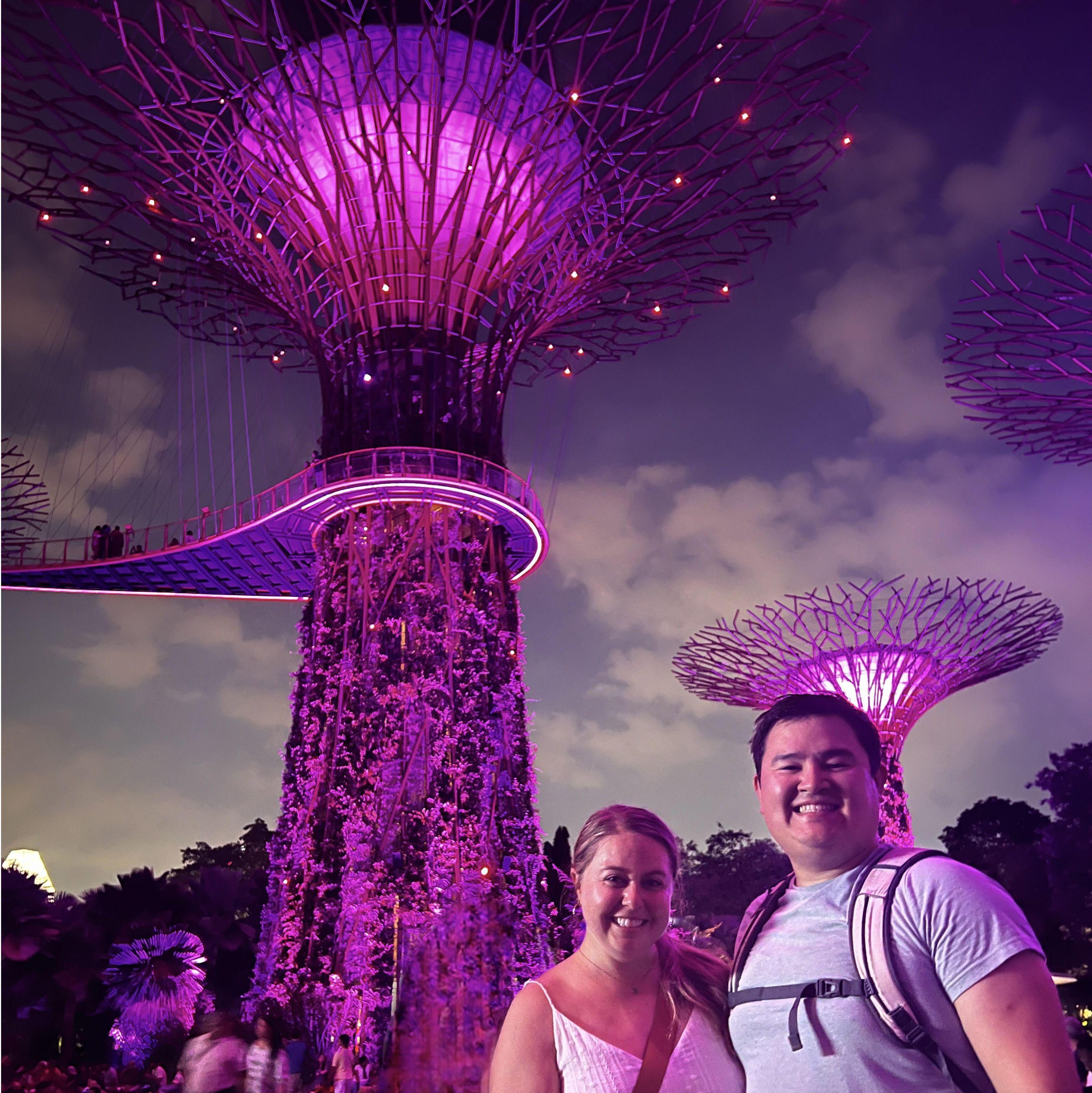 Cloud Forest, Singapore, 2023