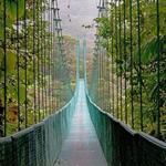 Místico Arenal Hanging Bridges / Puentes Colgantes Místico Arenal