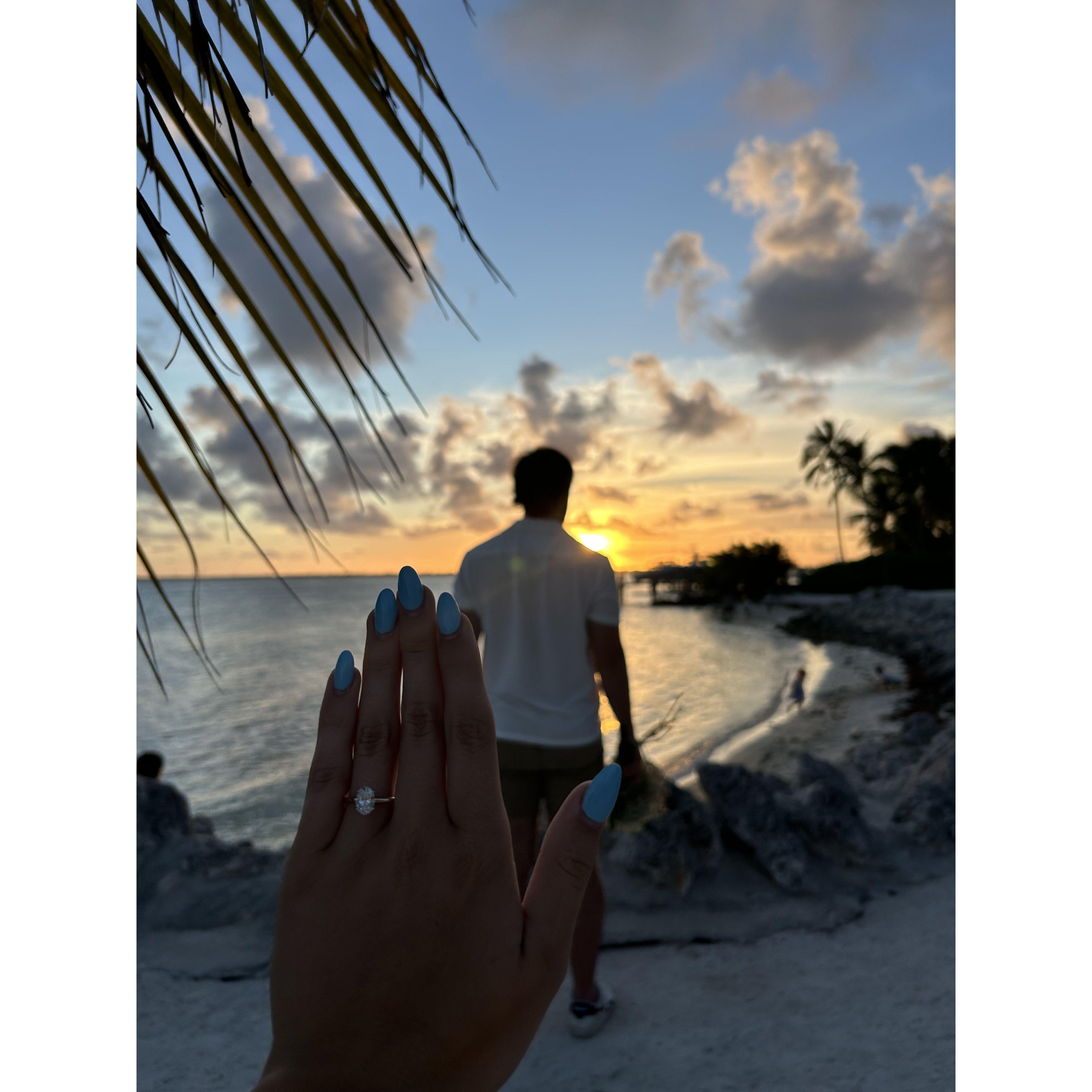 THE BEST PROPOSAL ! ! !