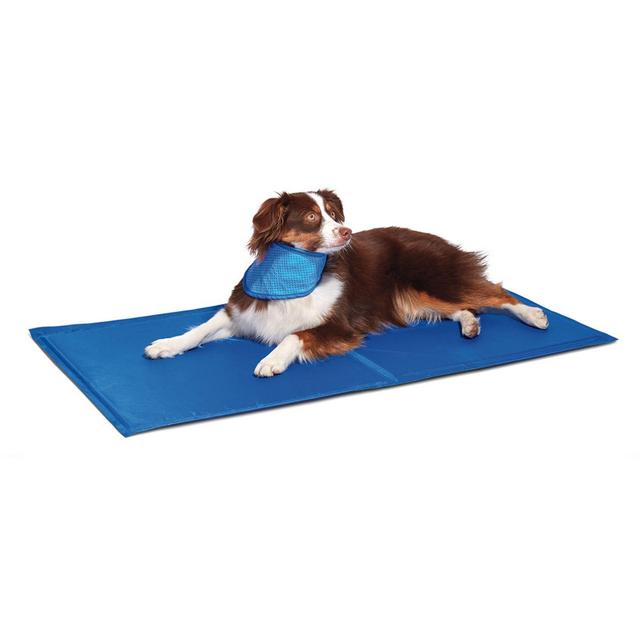 Pawslife™ Large Cool Pad in Blue