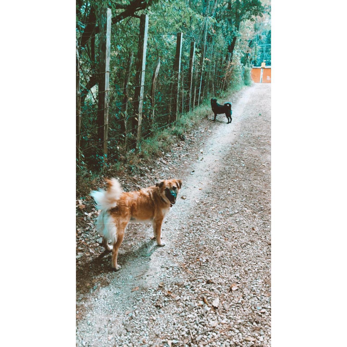 Our girls at home in Chiapas