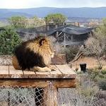 Out of Africa Wildlife Park