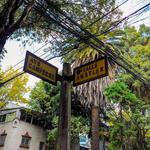 La Condesa Neighborhood