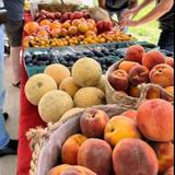 Gunterville Farmers Market