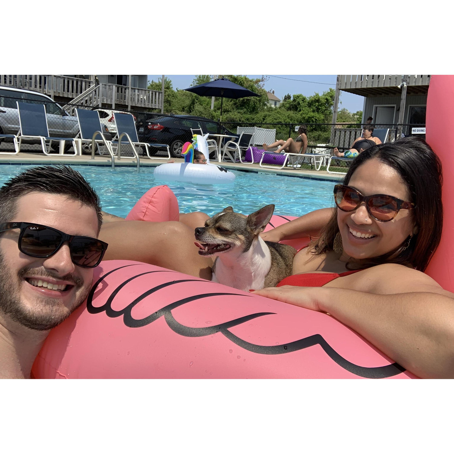 We love summer!