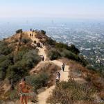 Runyon Canyon Road Hiking Path