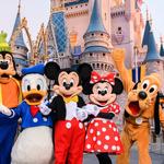 Walt Disney World® Resort