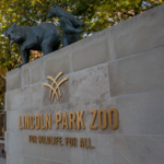 Lincoln Park Zoo