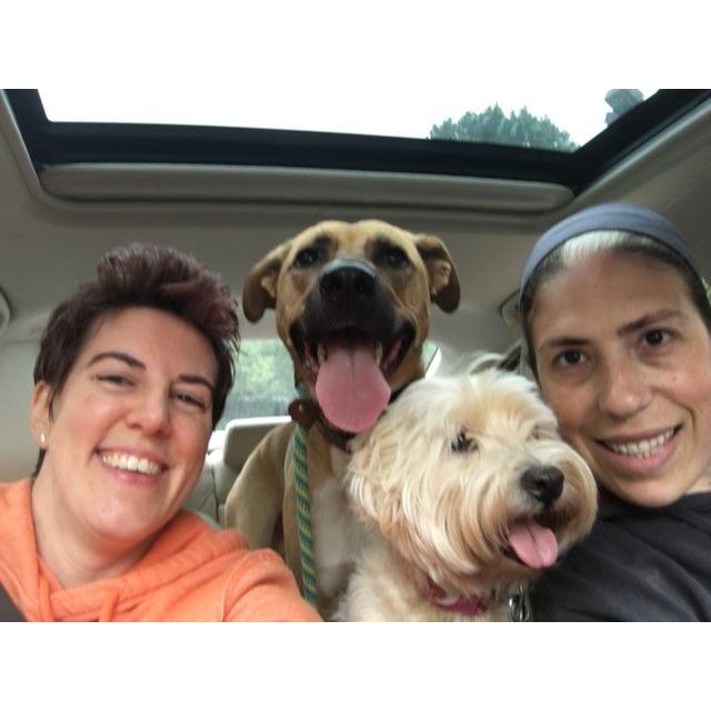 A  little roadtrip with the kids. We probably took them to get a burger at Burger King!