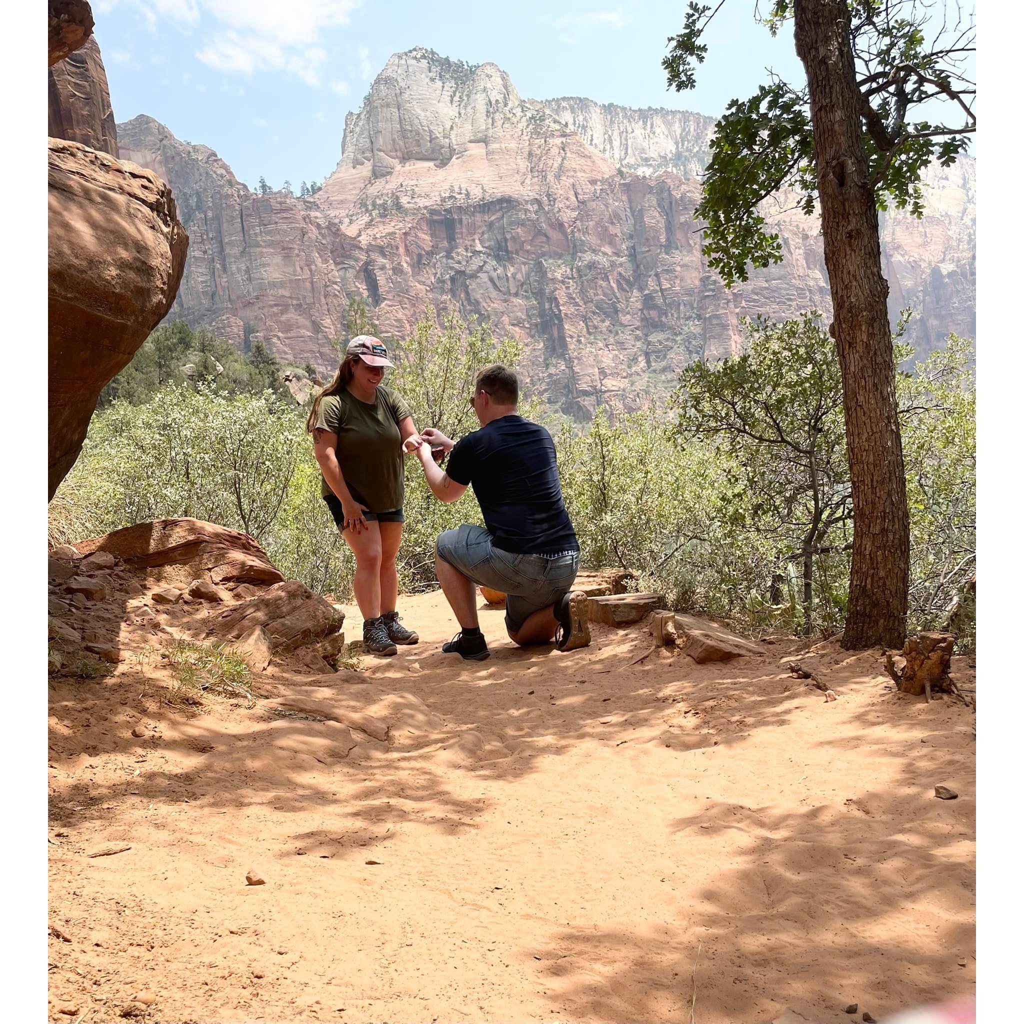 The proposal at Zion National Park