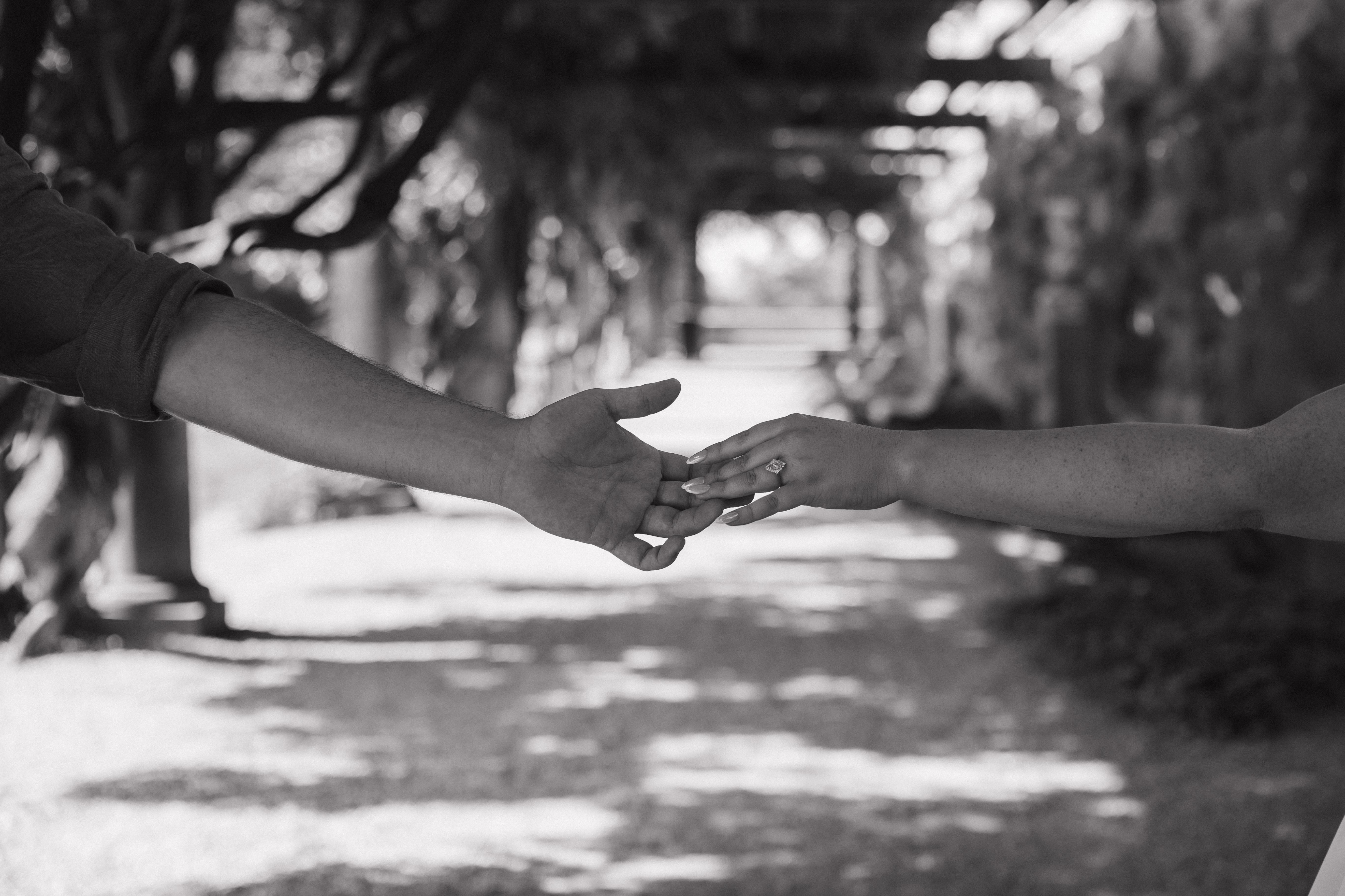 The Wedding Website of Molly Sarah Raque and Christian Magruder